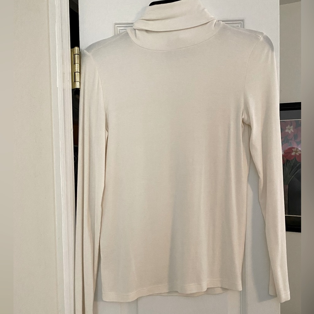 The Loft turtleneck, Size S.  Material is very soft.